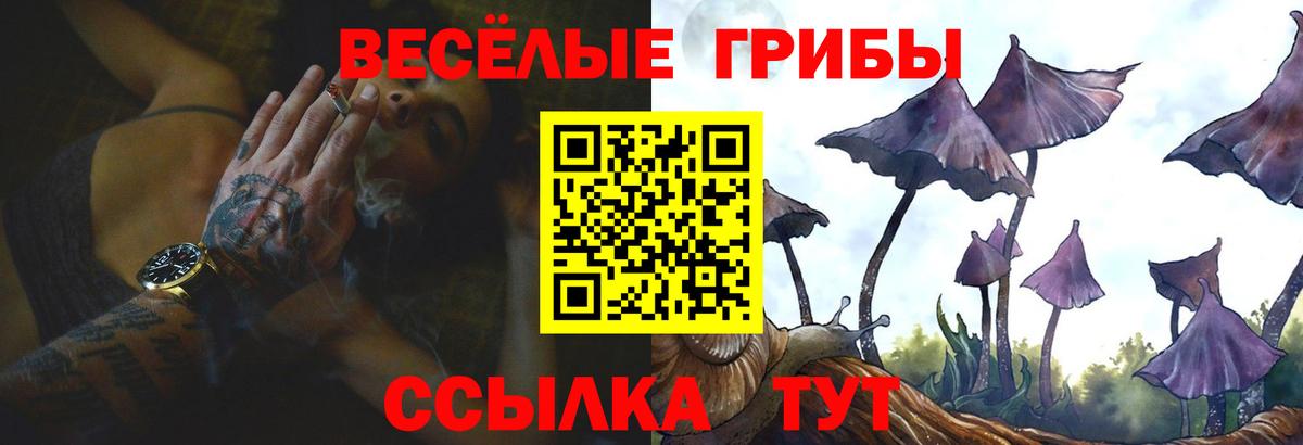 Галлюциногенные грибы Cubensis Новотроицк