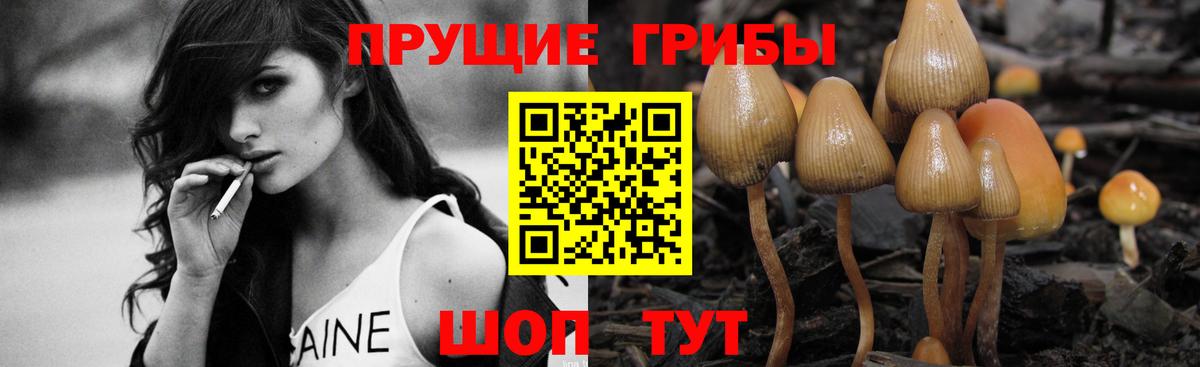 Псилоцибиновые грибы Psilocybine cubensis  Вход с VPN  Псилоцибиновые грибы мухоморы  Новотроицк 