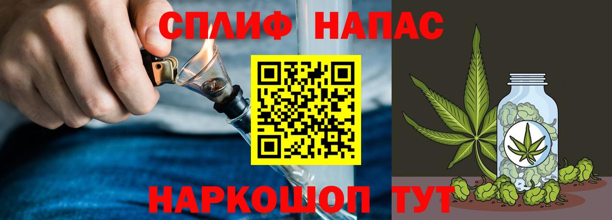 Канабис сатива Новотроицк